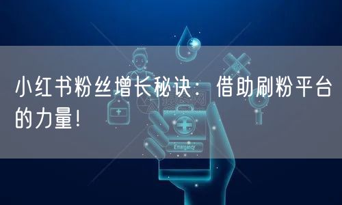 小红书粉丝增长秘诀：借助刷粉平台的力量！