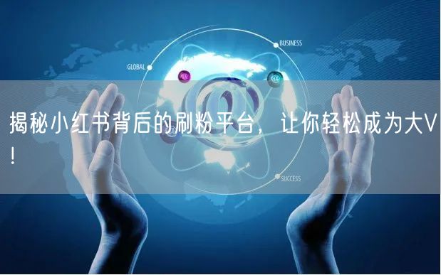 揭秘小红书背后的刷粉平台，让你轻松成为大