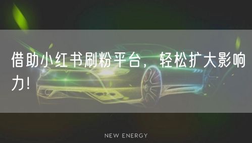 借助小红书刷粉平台，轻松扩大影响力！