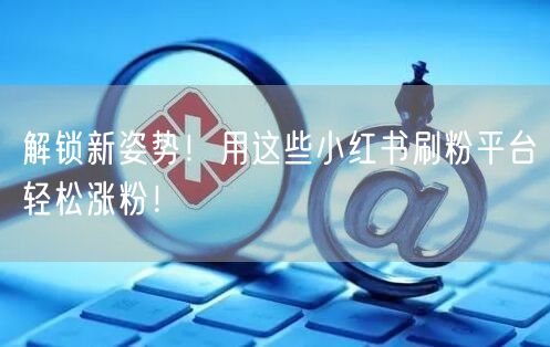 解锁新姿势！用这些小红书刷粉平台轻松涨粉