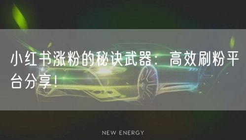 小红书涨粉的秘诀武器：高效刷粉平台分享！