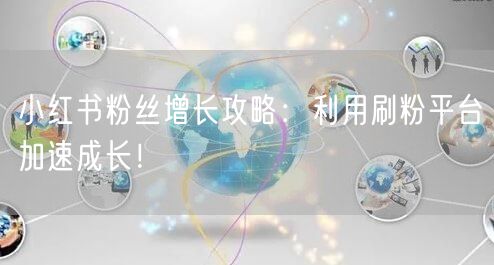 小红书粉丝增长攻略：利用刷粉平台加速成长