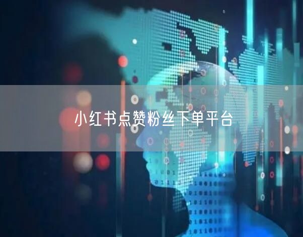 小红书点赞粉丝下单平台