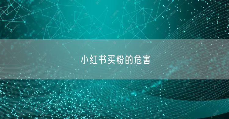 小红书买粉的危害