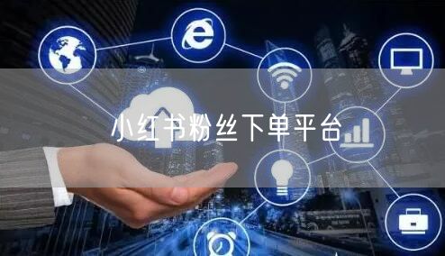 小红书粉丝下单平台