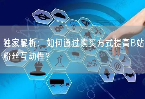 独家解析：如何通过购买方式提高B站粉丝互