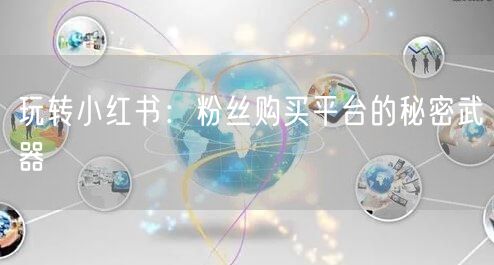 玩转小红书：粉丝购买平台的秘密武器