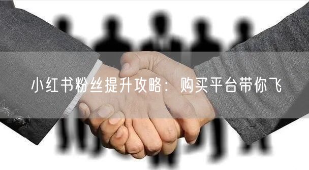 小红书粉丝提升攻略：购买平台带你飞