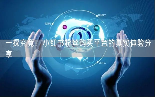 一探究竟！小红书粉丝购买平台的真实体验分