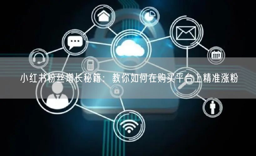 小红书粉丝增长秘籍：教你如何在购买平台上