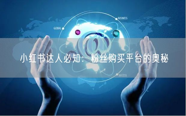 小红书达人必知：粉丝购买平台的奥秘