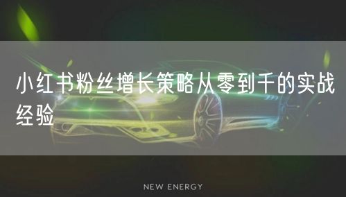 小红书粉丝增长策略从零到千的实战经验