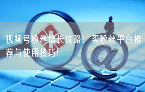 视频号粉丝增长攻略：买粉丝平台推荐与使用