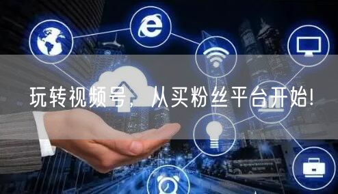 玩转视频号，从买粉丝平台开始!