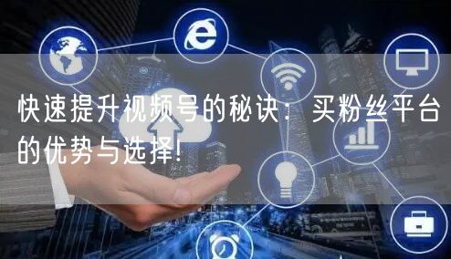 快速提升视频号的秘诀：买粉丝平台的优势与