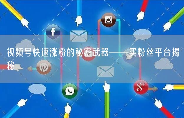 视频号快速涨粉的秘密武器——买粉丝平台揭