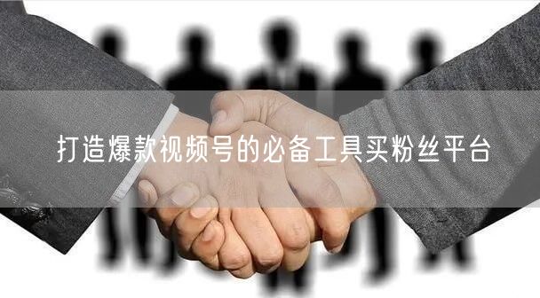 打造爆款视频号的必备工具买粉丝平台