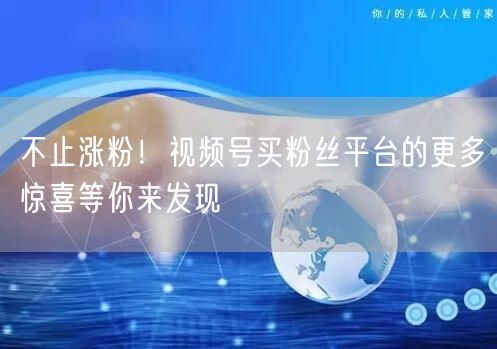 不止涨粉！视频号买粉丝平台的更多惊喜等你