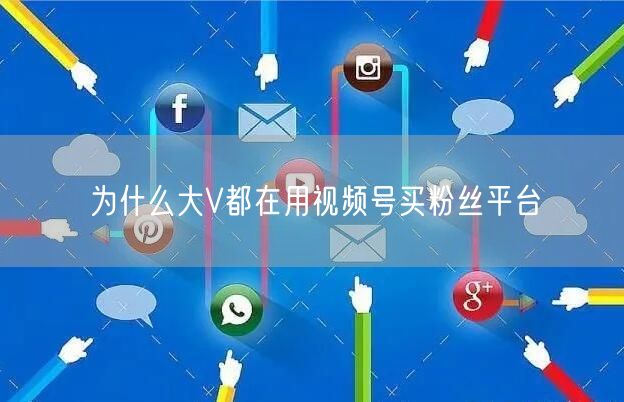 为什么大V都在用视频号买粉丝平台