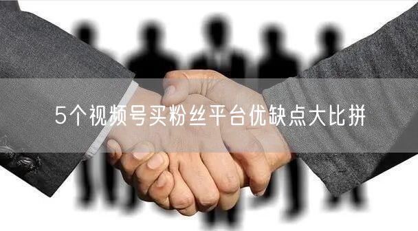 5个视频号买粉丝平台优缺点大比拼