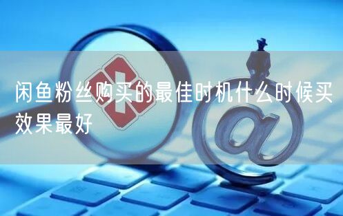 闲鱼粉丝购买的最佳时机什么时候买效果最好