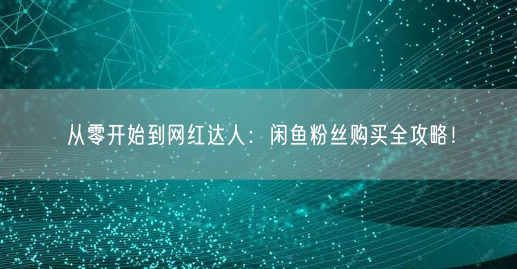 从零开始到网红达人：闲鱼粉丝购买全攻略！