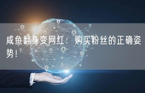 咸鱼翻身变网红：购买粉丝的正确姿势！
