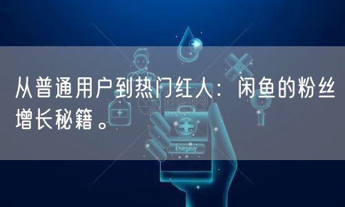 从普通用户到热门红人：闲鱼的粉丝增长秘籍