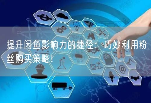 提升闲鱼影响力的捷径：巧妙利用粉丝购买策