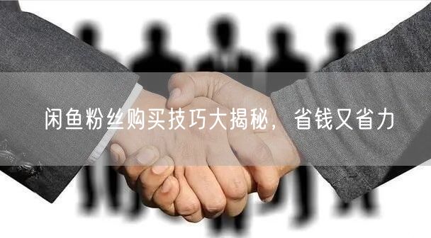 闲鱼粉丝购买技巧大揭秘，省钱又省力