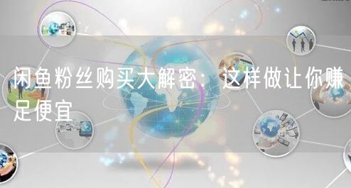 闲鱼粉丝购买大解密：这样做让你赚足便宜