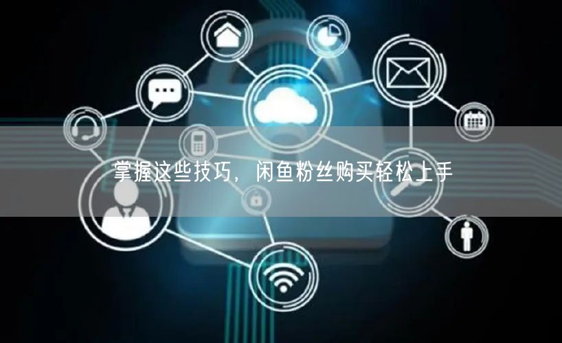掌握这些技巧，闲鱼粉丝购买轻松上手