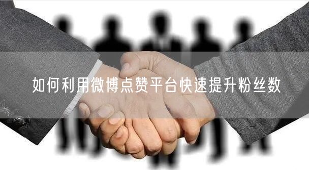 如何利用微博点赞平台快速提升粉丝数