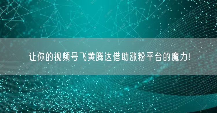 让你的视频号飞黄腾达借助涨粉平台的魔力！