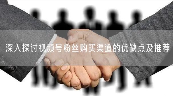 深入探讨视频号粉丝购买渠道的优缺点及推荐