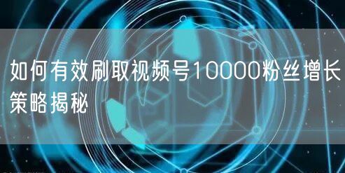如何有效刷取视频号10000粉丝增长策略