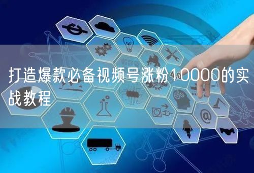 打造爆款必备视频号涨粉10000的实战教
