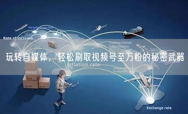 玩转自媒体，轻松刷取视频号至万粉的秘密武