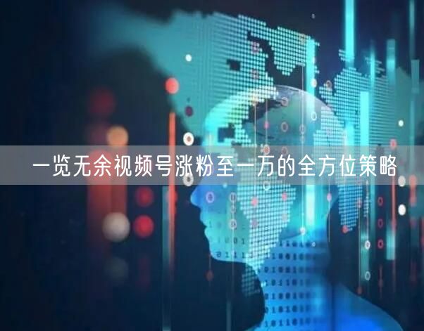 一览无余视频号涨粉至一万的全方位策略