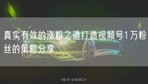 真实有效的涨粉之道打造视频号1万粉丝的策