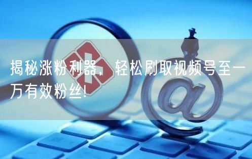 揭秘涨粉利器，轻松刷取视频号至一万有效粉