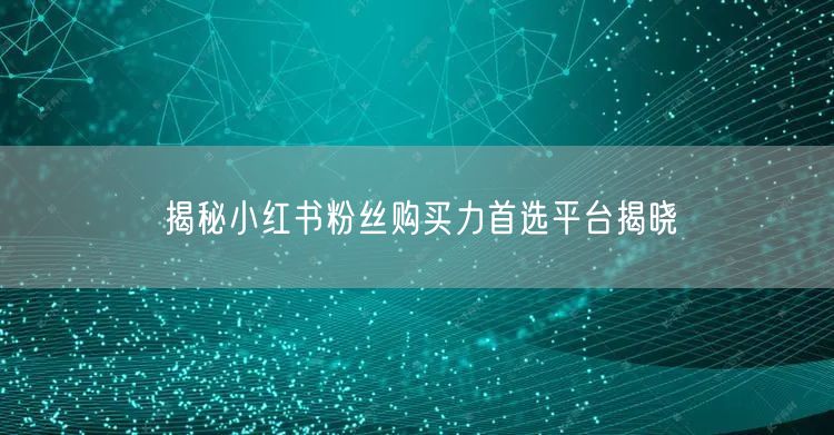 揭秘小红书粉丝购买力首选平台揭晓