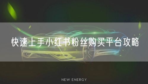 快速上手小红书粉丝购买平台攻略
