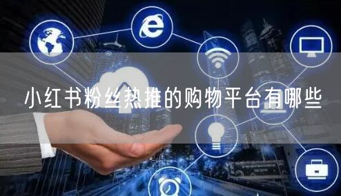 小红书粉丝热推的购物平台有哪些