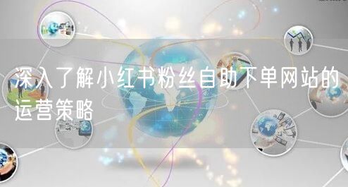 深入了解小红书粉丝自助下单网站的运营策略