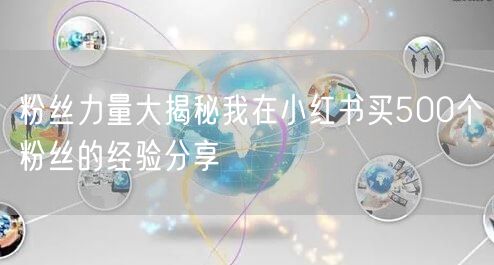 粉丝力量大揭秘我在小红书买500个粉丝的