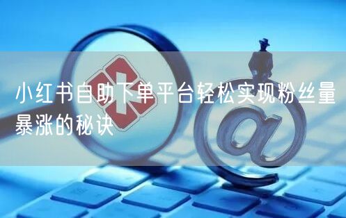 小红书自助下单平台轻松实现粉丝量暴涨的秘