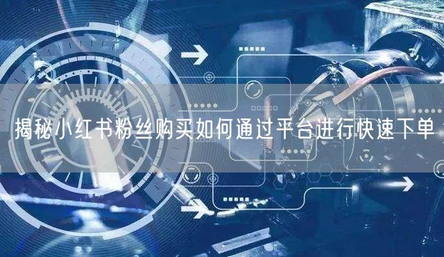 揭秘小红书粉丝购买如何通过平台进行快速下