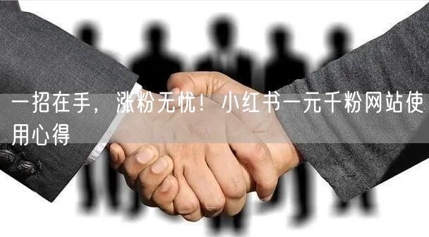 一招在手，涨粉无忧！小红书一元千粉网站使