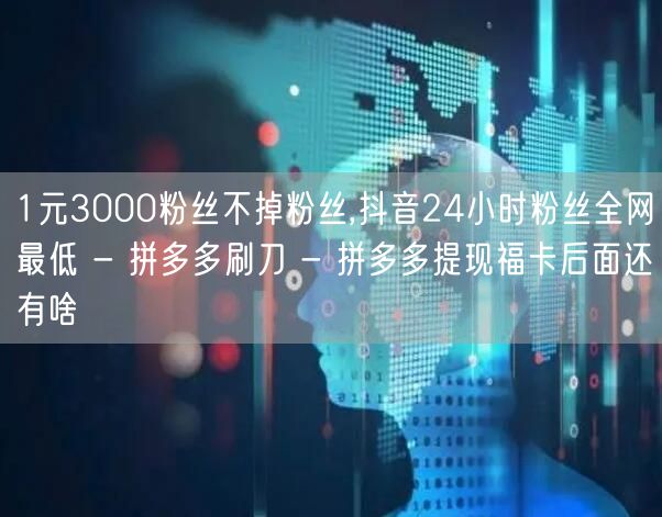1元3000粉丝不掉粉丝,抖音24小时粉
